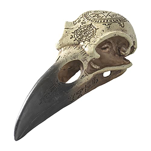 Pacific Giftware Alchemy's Omega Raven Skull Resin Home Decor Figurine