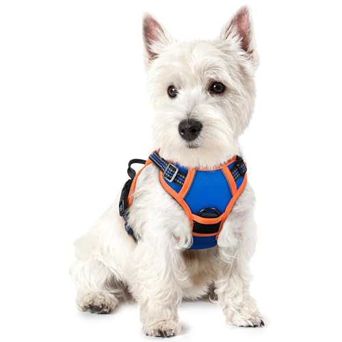 Image of rabbitgoo Dog Harness No Pull with 2 Leash Clips, Adjustable Soft Padded, Reflective Oxford No Choke Pet Vest with Easy Control Handle for Puppy, Blue & Orange, XS