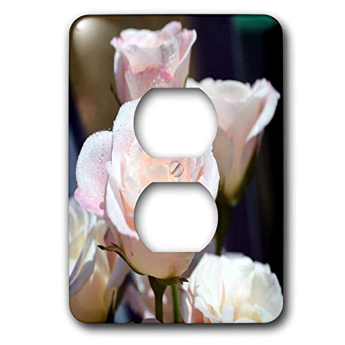 Prise Prise photo de rose lsp_22542_6 décorative pour embellir l'ambiance chaleureuse du salon