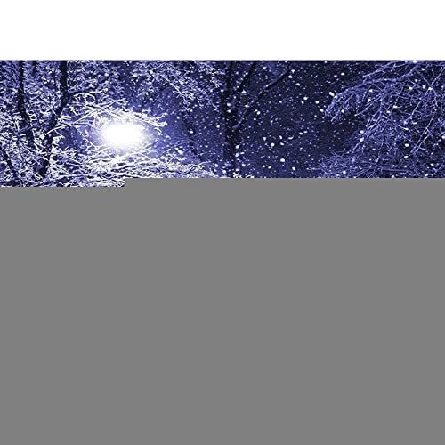 Tissu en toile broderie diamant paysage de neige anti-stress