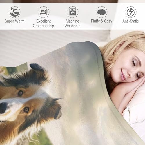 Couverture flanelle housse de chaise décorative plaid canapé lit