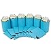 12 Neon Blue Premium Blank Can Coolers Sleeves Coolies For Cans,Beer Sleeves, Economy Bulk.Perfect For Events,Parties,BBQ (12, Neon Blue)
