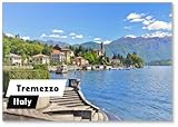 Photomagnet