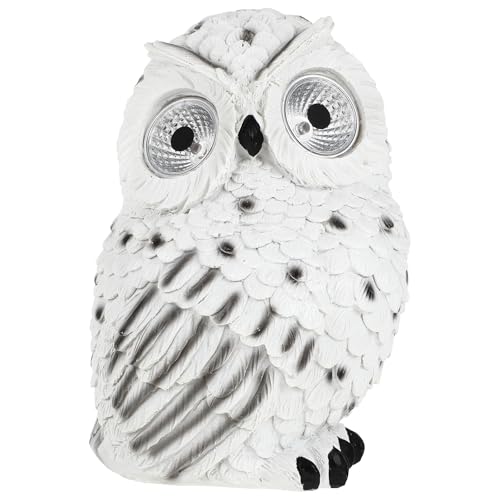 Alipis nӃ\[[CgttNEu OhK[f K[fŐeXpAȓI[ig