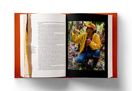 Casa Cacao: The Return Trip to the Origin of Chocolate
