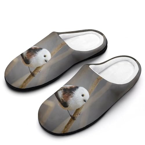 [ZKCASA] Xbp V}GiK 킢  [V[Y   qp h  g 􂦂 ~ jp I[V[Yp 11-12i42-43j