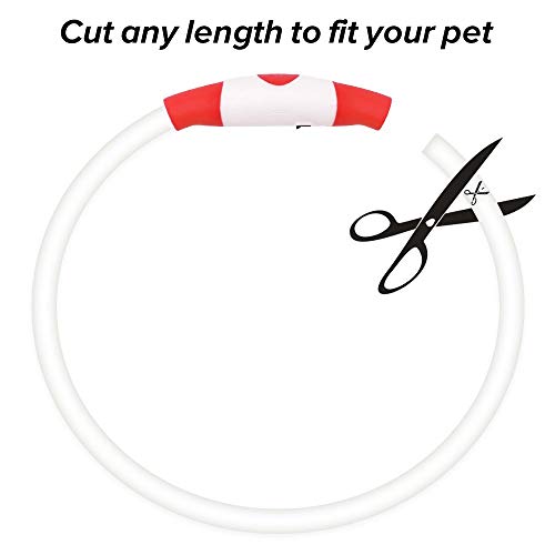 Bseen Rechargeable Led Dog Collar - Tpu Cuttable Light Up Dog Collars, Glowing Puppy Collar, Flashing Dog Walking Lights For Small, Medium, Large Dogs (Red) #TOP2