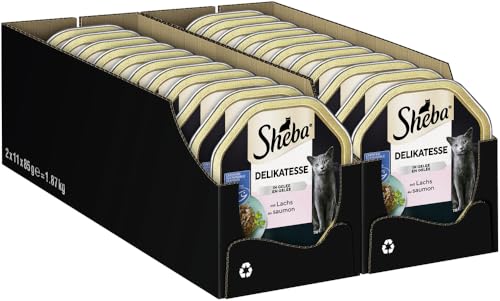 Sheba Schale Nassfutter für Katzen Delikatesse in Gelee mit Lachs 2 x 11 x 85g 1