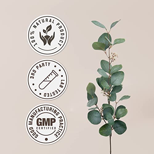 Garden Organics USDA Organic Horsetail Capsules