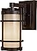 Minka Lavery 72023-A179 Andrita Court Pearl Mist Glass Outdoor Wall Sconce Wall Mount Fixture, 1-Light 100 Watt, 17" H x 8" W, Textured French Bronze