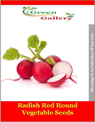Green Gallery Radish Red Round Fresh Organic Vegetable Seeds for Home and Kitchen Gardening Planting Farming (Pack of 50+ Seeds)