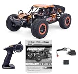 AINIUNIU 1/10 Scale 4WD RC Car DBX-104 Desert Buggy, Brushed Motor High Speed Off-Road Remote Control Truck, 2.4GHz All Terrain Hobby Vehicle for Adults (Orange)