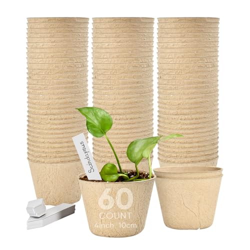 Jolliance 4” Peat Pots with 60Pcs Plant Labels, Biodegradable Pots