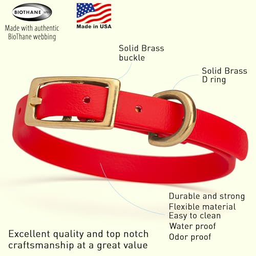 Image of Viper Biothane Heavy Duty Waterproof Dog Collar Strong Coated Nylon Webbing w /Solid Brass Hardware Odor-Proof Easy to Clean High Performance Fits Small Medium or Large Dogs, Cherry Red
