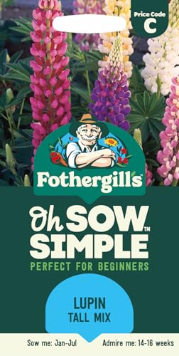 Fothergill\'s Oh Sow Simple, Lupin Tall Mix Flower Seeds, So