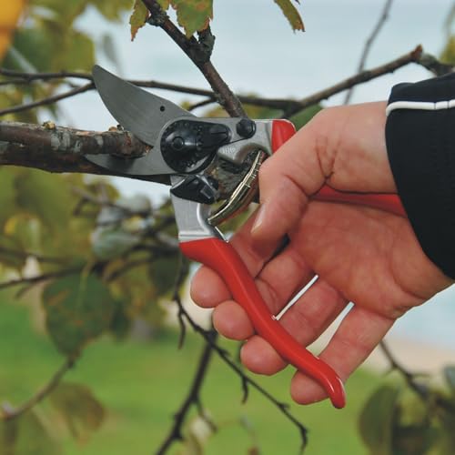 FELCO 8 Bypass-Gartenschere für Rechtshänder, ergonomisch für große Hände, 52 mm Stahlklinge, 25 mm Schnittdurchmesser, Stoßdämpfer, geschmiedete Aluminiumgriffe, abgewinkelter Schneidkopf, Swiss Made