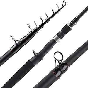 hengel Baitcasting Rod Portable telescopische 24-ton carbon hengel Vermogen VisTuig 4-24g Lure-2.4m Hengel (Size : 2.4m)