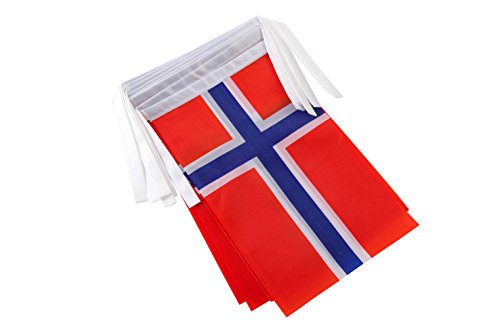 TSMD Norway Flag, 100 Feet Norwegian Nordmann Flag National Country World Pennant Flags Banner,International Party Decorations for Grand Opening,Olympics,Bar,School Sports Events,Festival Celebration - Thumbnail 7