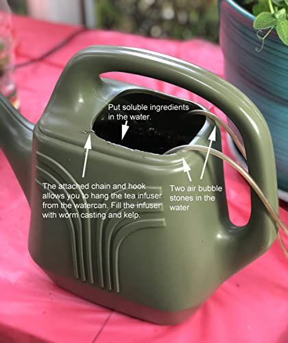 Hipgirl Leafy Salad Greens Lettuce Seeds For Planting,Seeds For Planting Vegetables And Fruits,Vegetable Seeds For Planting Home Garden Seeds-Non Gmo Heirloom Seeds (Mixed Greens Lettuce,1G) #TOP3