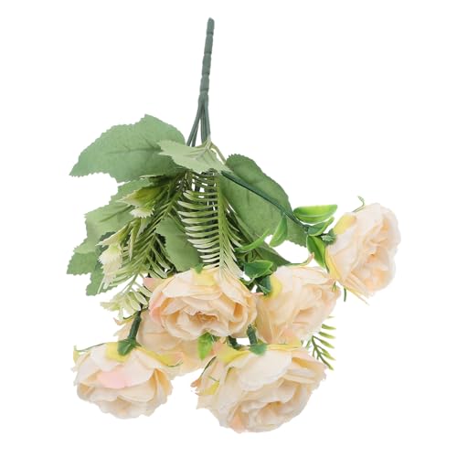 SOLUSTRE Ԃ̃oƃAWTC̉ԑ sNVpF tFCN[Y EFfBOʐ^Bep sv̑pԑ