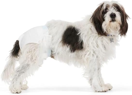 So Phresh by Petco Leak Guard Disposable Pet Diapers Small Count of 12