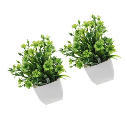 EXQUIMEUBLE 2̏ tFCN ~͐A p A ΐA ItBXfXN rO[ sv  Ce