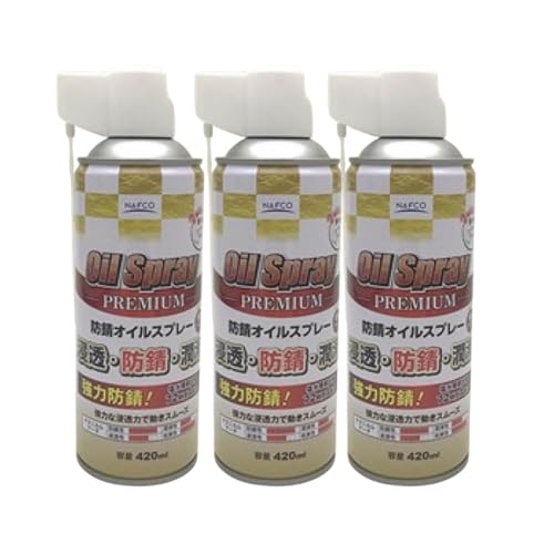 hKXv[ hKIC L^Cv 420ml ͐Z  K~ eiXp H @Bp (3)