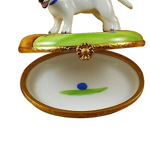 Amazon.com: Bull Terrier Limoges Box : Home & Kitchen