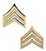 US Army Sergeant Gold Collar Device Rank Insignia Pair