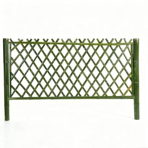 varayumi |_ |tFX p[e[V | K[ftFX   ډB O d؂ VR|  hha | iϑ (2*1m(C^Cv))