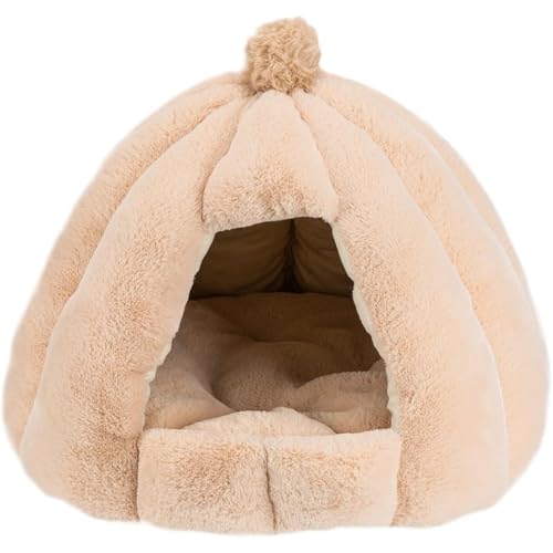 SefoemutybgnEX Lxbh ^xbh LbgnEX \tgP[W ӂӂ  g  ̌^ zʂt Bւ\ NbVt ~΍ 薰 p Zїp ^ybg (J[LF,S)