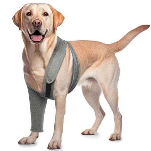 Image of ROZKITCH Dog Elbow Protector for Front Right Left Leg, Pet Prevent Licking Wound Elbow Knee Protector, Dog Recovery Suit Cone Collar Alternative for Sprain ACL CCL Arthritis Joint Care Grey XXS