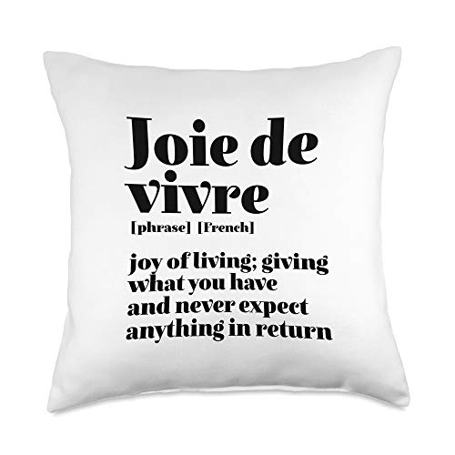 France Phrase Definition in Dictionary Inspirational French Quote Joy of Life Joie De Vivre Throw Pillow, 18x18, Multicolor