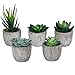 Set of 5 Succulents Fake Plants Bedroom Aesthetic Small Fake Plants Bathroom - Mini Fake Plants Decor for Office Desk Decor - Tiny Realistic Fake Succulent Plants Artificial Potted Set Cute Decoration