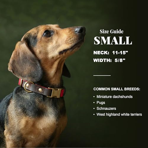 Image of Didog PU Leather Dog Collar for Small Dogs Puppy, Soft Lining, Red S