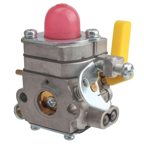Carburateur C1U-H46 résout le calage moteur sur RY70107 S1400