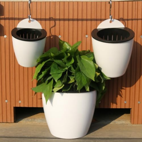 MoSundi Vaso da fiori autoirrigante da appendere per giardinaggio da parete, vaso in plastica trasparente con serbatoio, 110 # (11 cm) e 130 # (13 cm), bianco/trasparente