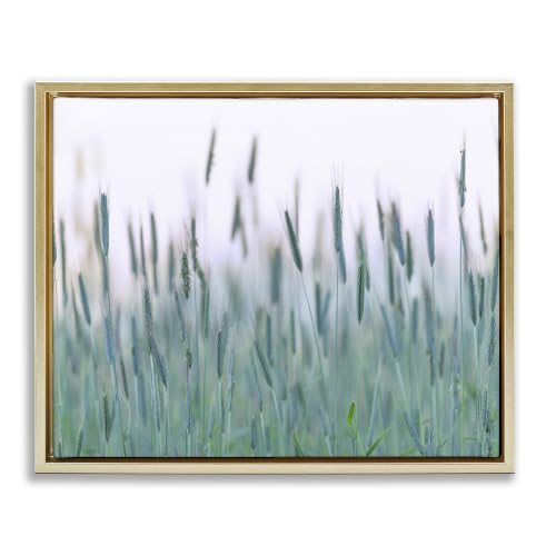 Stupell Industries 'Green Wheat Field Sprigs'| Floating Frame Canvas Art