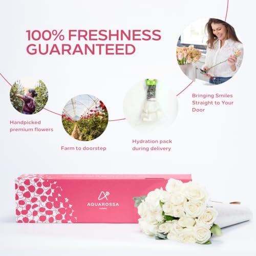Aquarossa Farms - 12 White Roses Bouquet, Mother\'s Day Gifts, Flowers Fresh Bouquet, Flowers for Delivery, Gift Idea for Her - Thumbnail 2