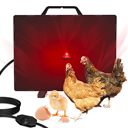 Find The Best Radiant Heater For Chicken Coop 2023 Reviews