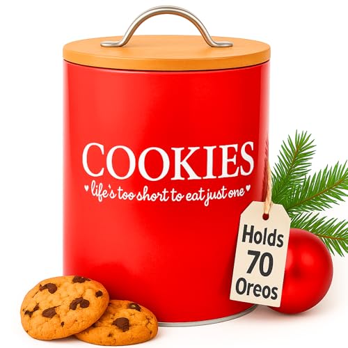 D'Lifeful Airtight Bamboo Lid Jar