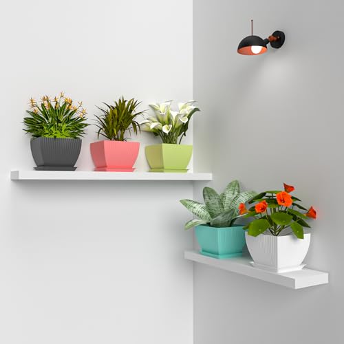 Image of ELUVIA 7-inch Square Planters with Saucers (Set of 5) - Modern Fluted Flower Pots with Drainage Holes and Trays - Premium Plastic Indoor Outdoor Plant Pots for Succulents, Flowers (Multi Color)