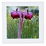 Square dimensions (in inches): 12 L x 12 W, image dimensions (in inches): 10 L x 10 W 100% poloyester; image is soft to touch. Made in USA Edges have pinking shear cut Image will not fade with washing. Image not a transfer, part of material