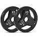 Day 1 Fitness Cast Iron Olympic 2-Inch Grip Plate for Barbell, 25 Pound Set of 2 Plates Iron Grip Plates for Weightlifting, Crossfit - 2" Weight Plate for Bodybuilding