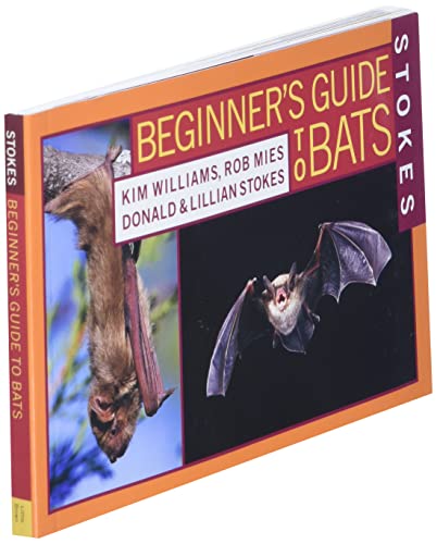 Stokes Beginner's Guide To Bats #TOP2