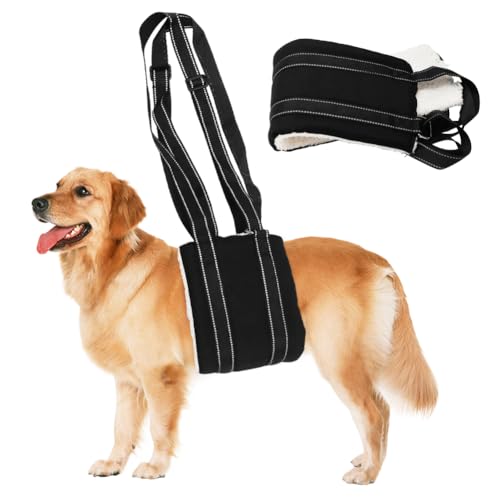 Umllpet Aide au transport réglable pour chien - Aide à la marche souple - Disponible en différentes tailles - Soutien de sécurité pour handicapés, blessés ou chiens âgés - Taille M