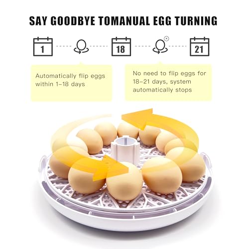 HBOOR 12 Egg Incubator，Incubators for Hatching Eggs，Egg Incubator with Automatic Egg Turning and Humidity Control，Chicken Incubator，for Hatching Quail Duck，Egg Candler and Display of Incubation Days - Thumbnail 3