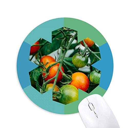 VNȉщʎ̎ʐ^ ~`S̐}EXpbh