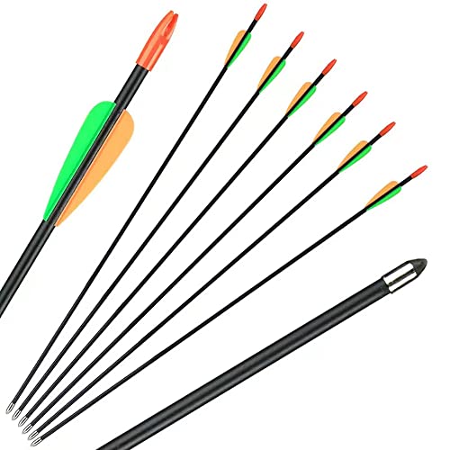 Golresol 45" Bow And Arrows Set For Teens Archery Beginner Gift With 9 Arrows, 1 Quiver, 18 Lb Recurve Bow Kit Right/Left Hand Longbow For Youth Kids Outdoor Sports Game(Blue,Compound Bow) #TOP6