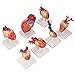 Acouto Life Size Human Heart Model 7PCS Heart with Support Base Life Size PVC Human Teaching Education Anatomically Accurate Industrial &